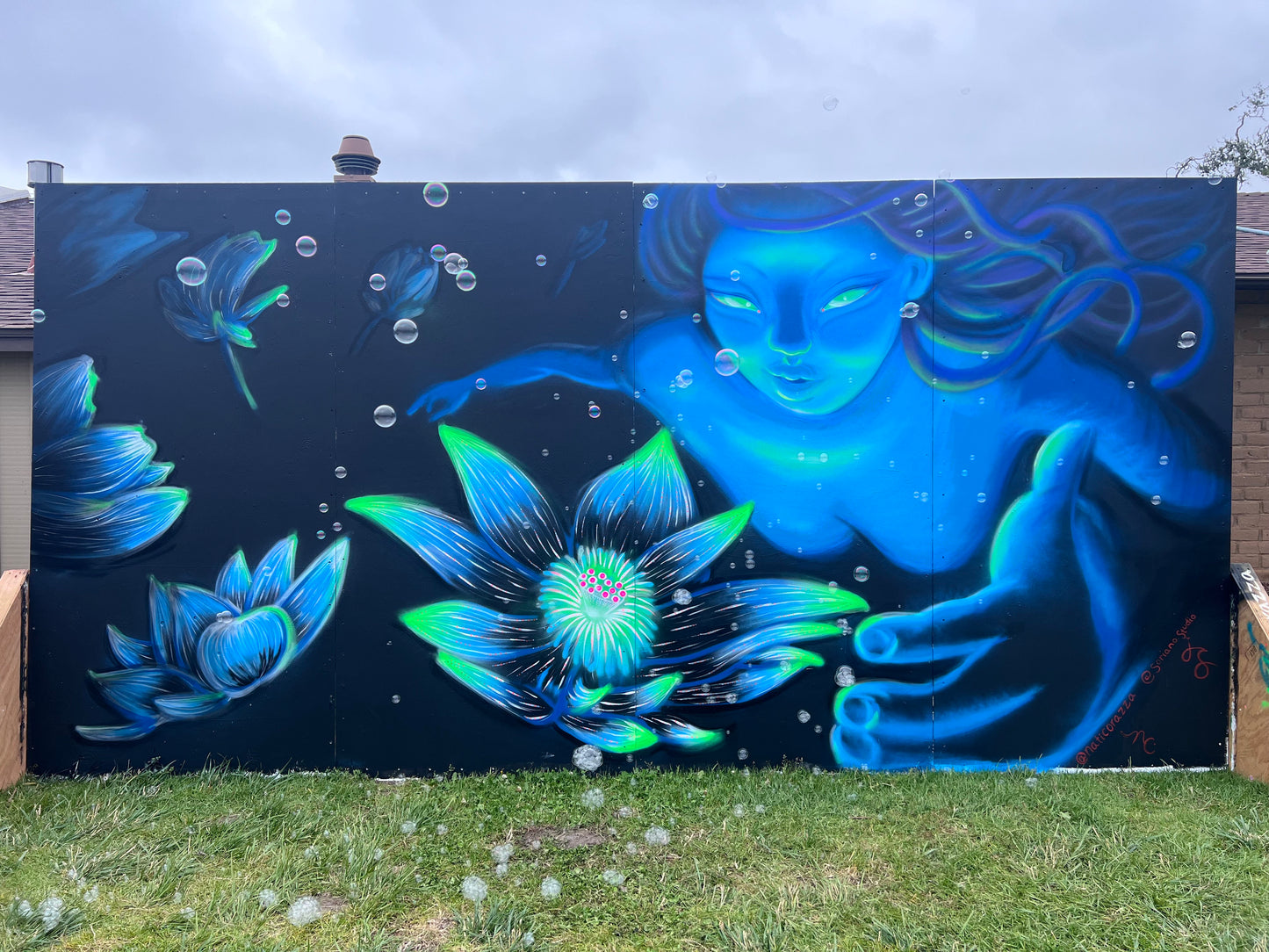 The Sacred Soul 16' x 8' Mural