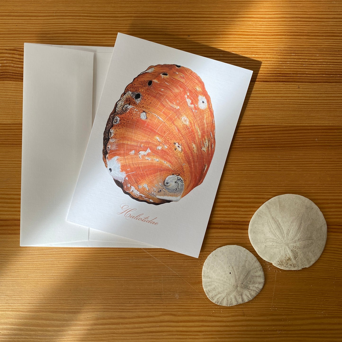 Abalone - Greeting Card