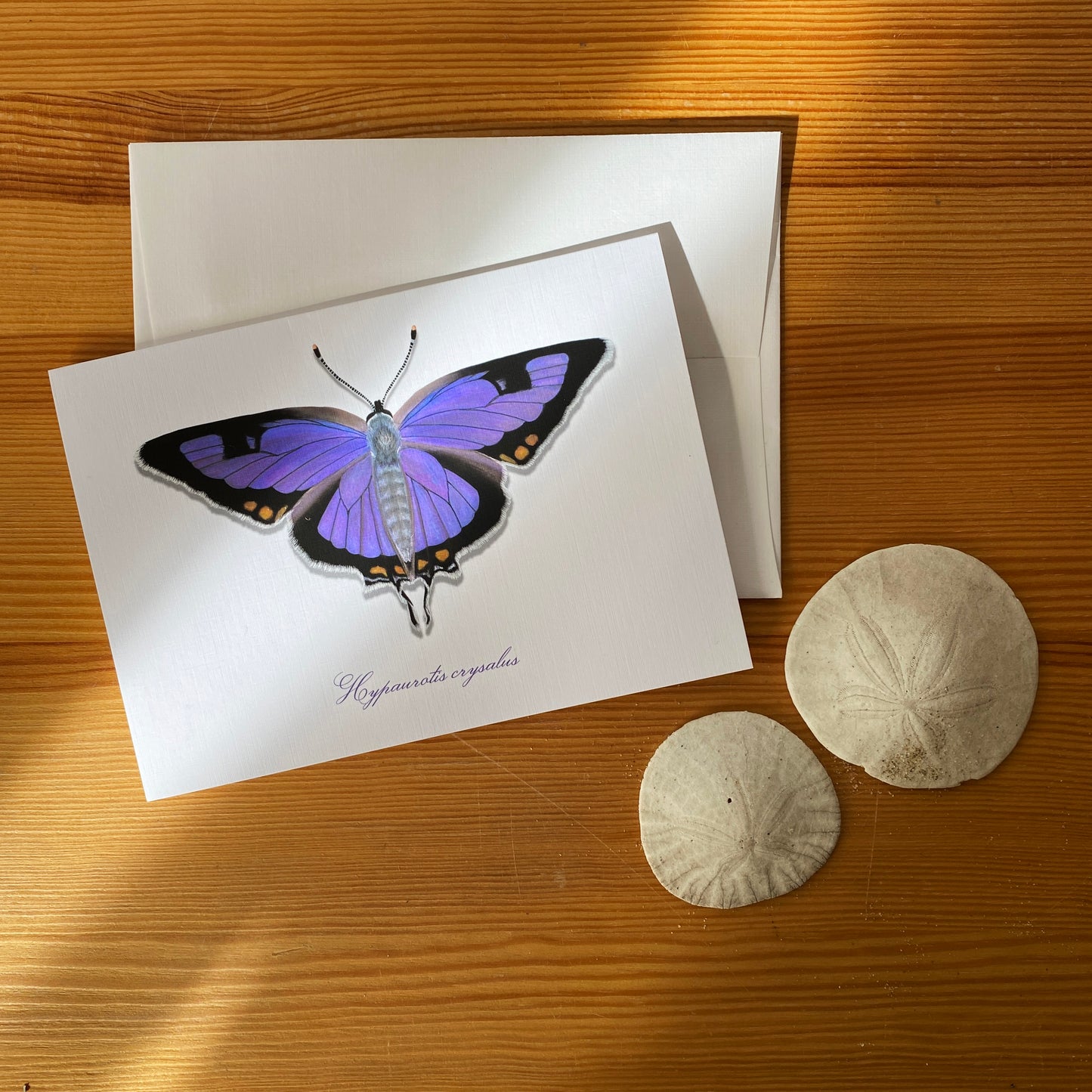 CO Hairstreak Butterfly - Greeting Card