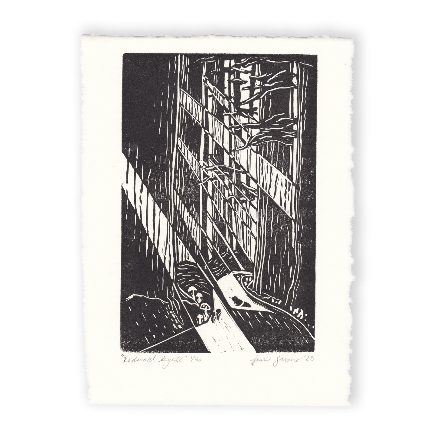 Redwood Lights Linocut Print