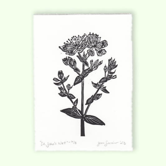 St. John's Wort Linocut Print