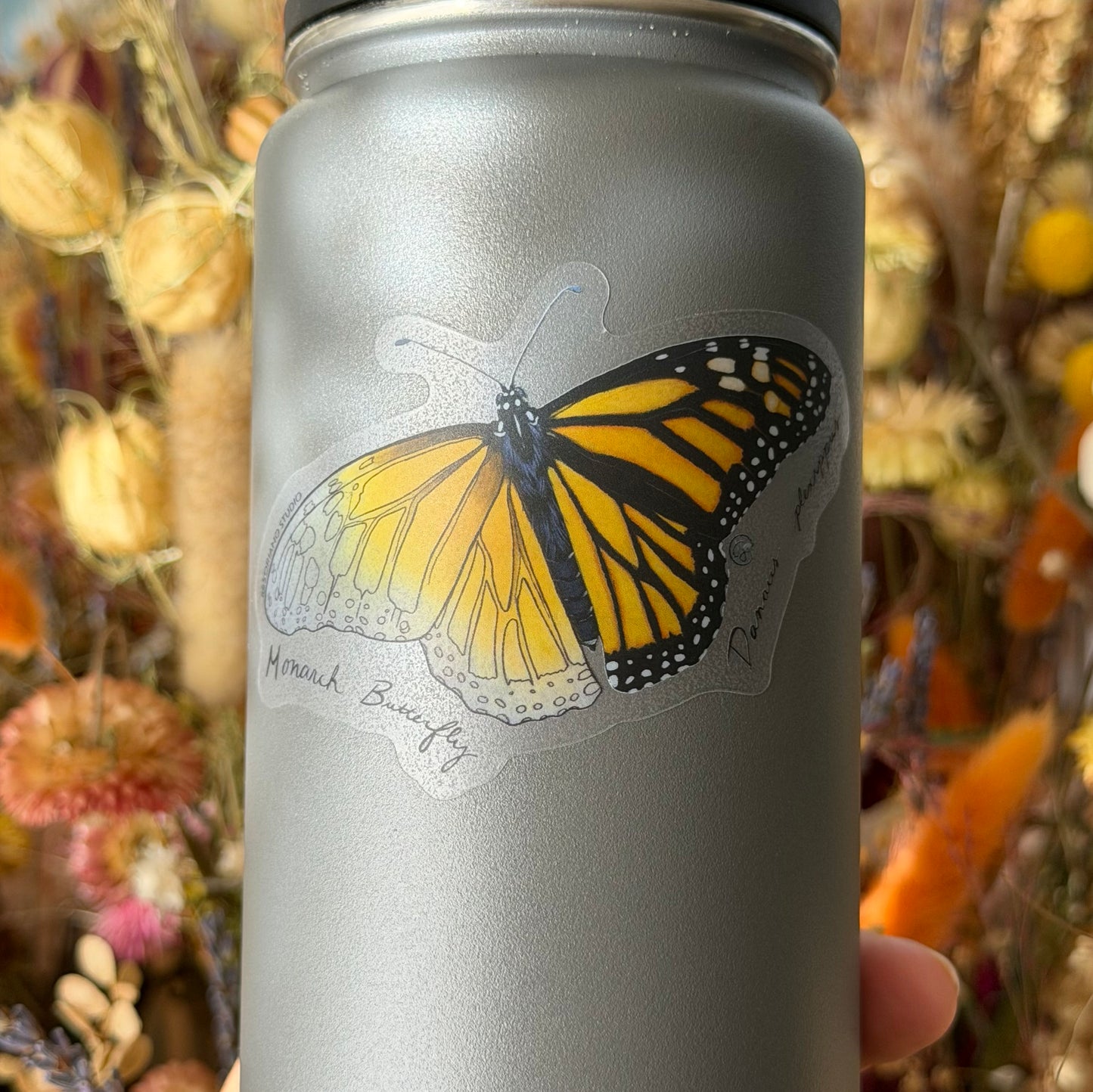 Monarch Butterfly Sticker