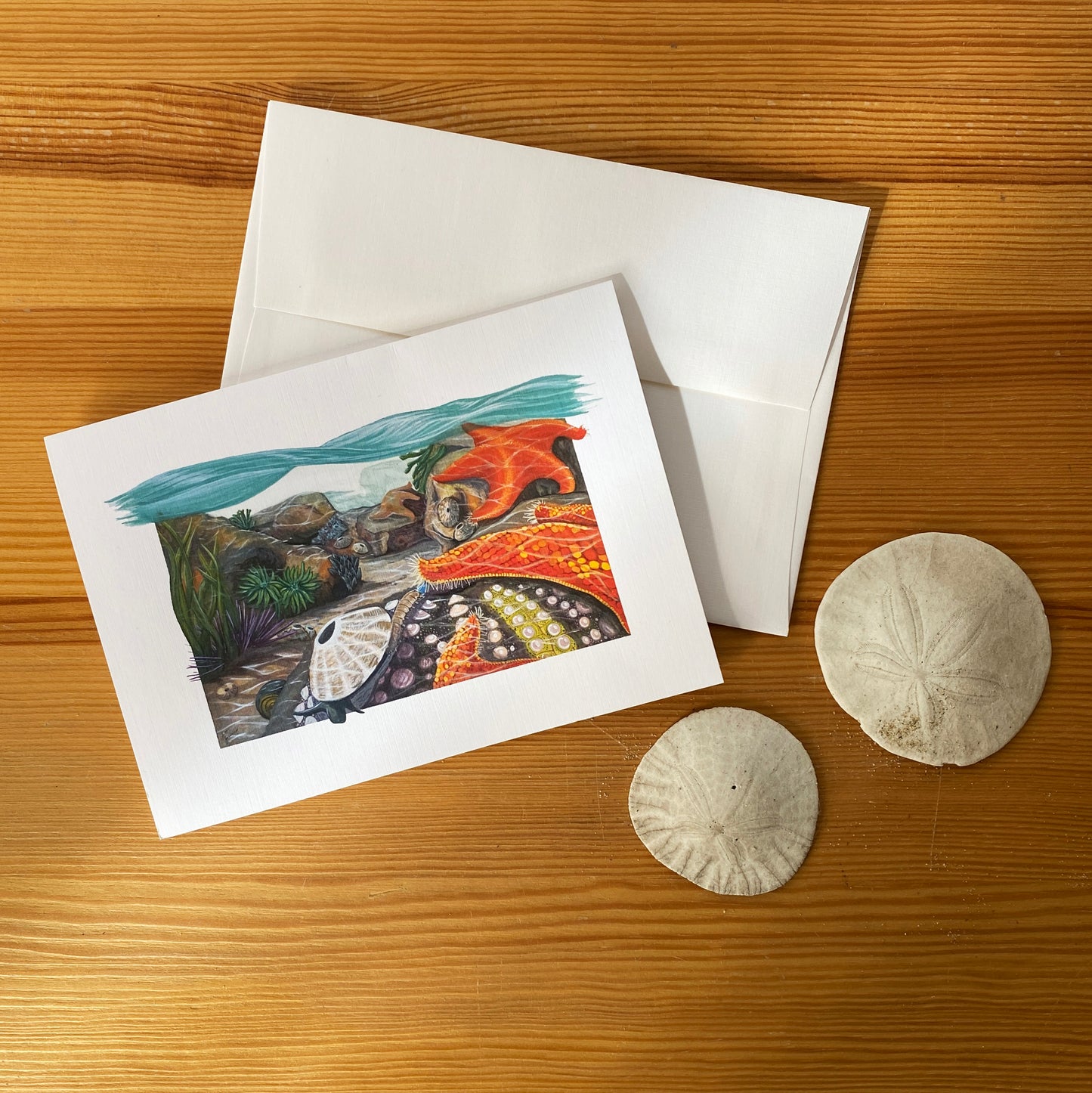 Tidepool Symbiosis - Greeting Card