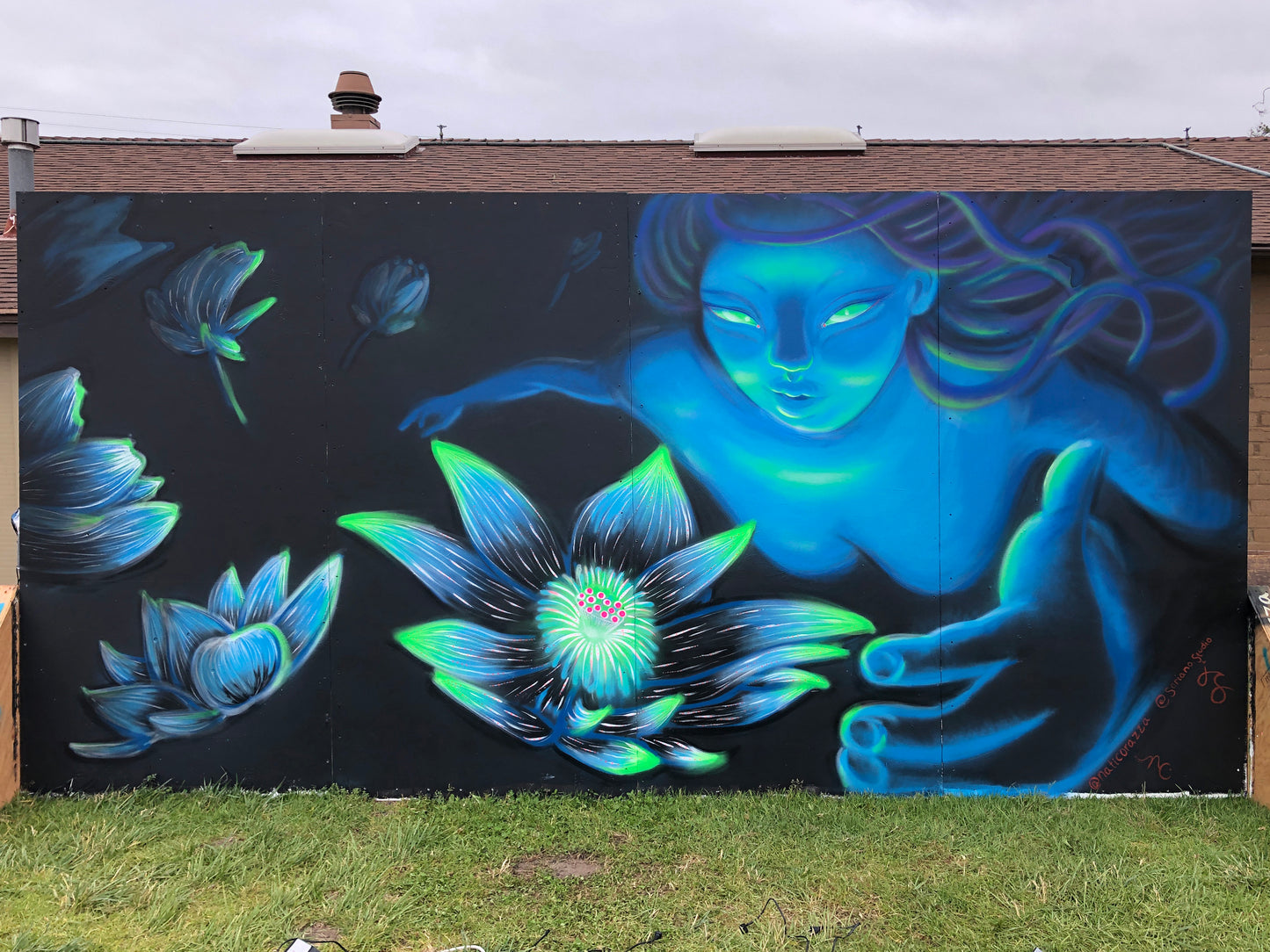 The Sacred Soul 16' x 8' Mural