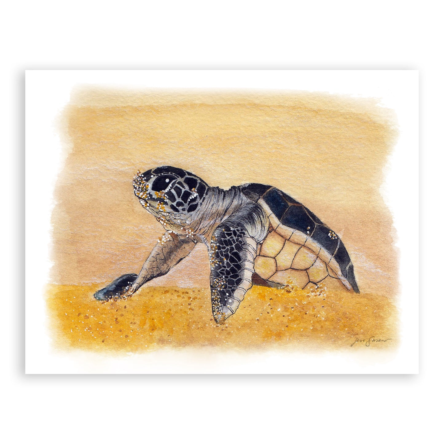 Drawn to the Ocean Glicée Print