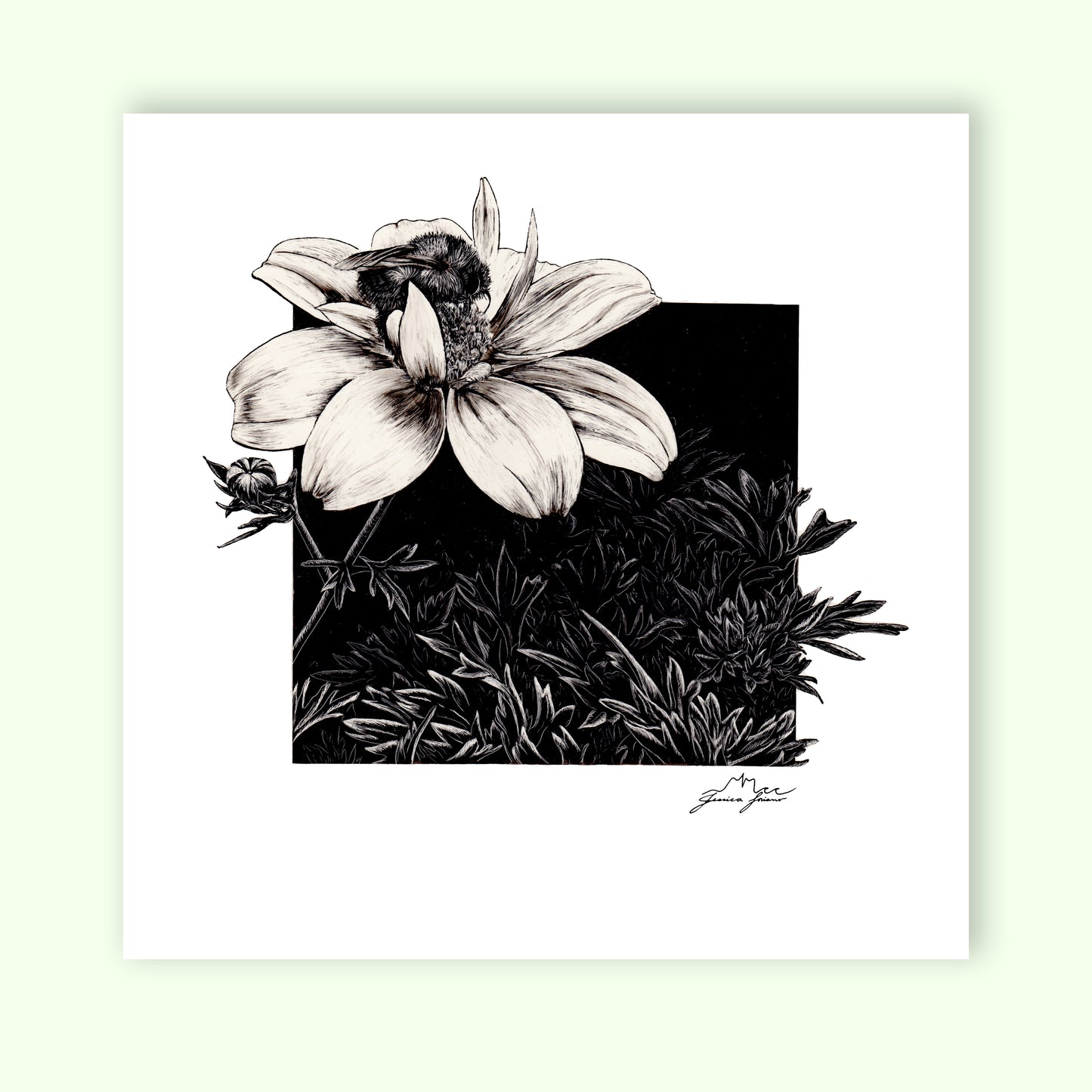 Friends with Benefits: Original Scratchboard Piece