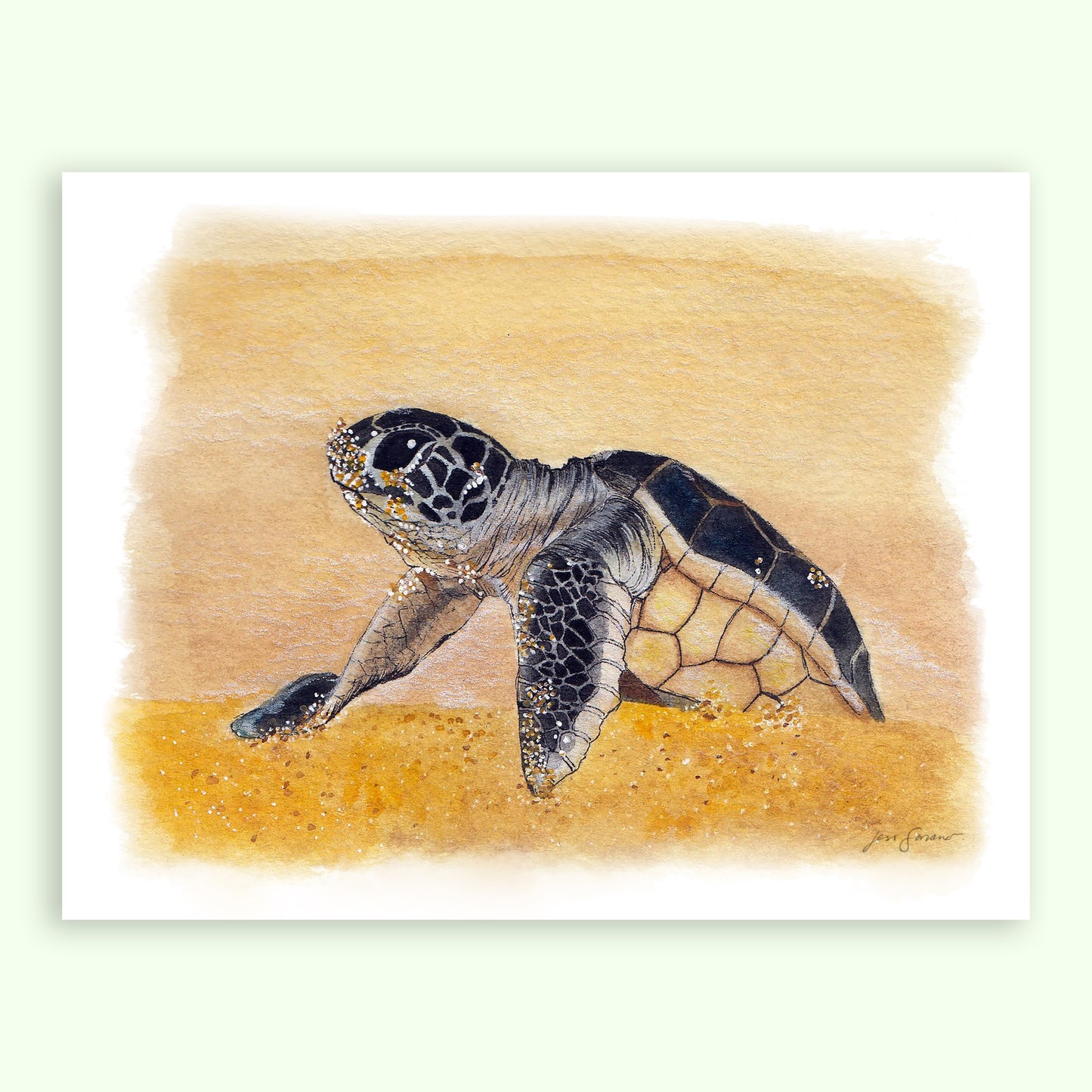 Drawn to the Ocean Glicée Print