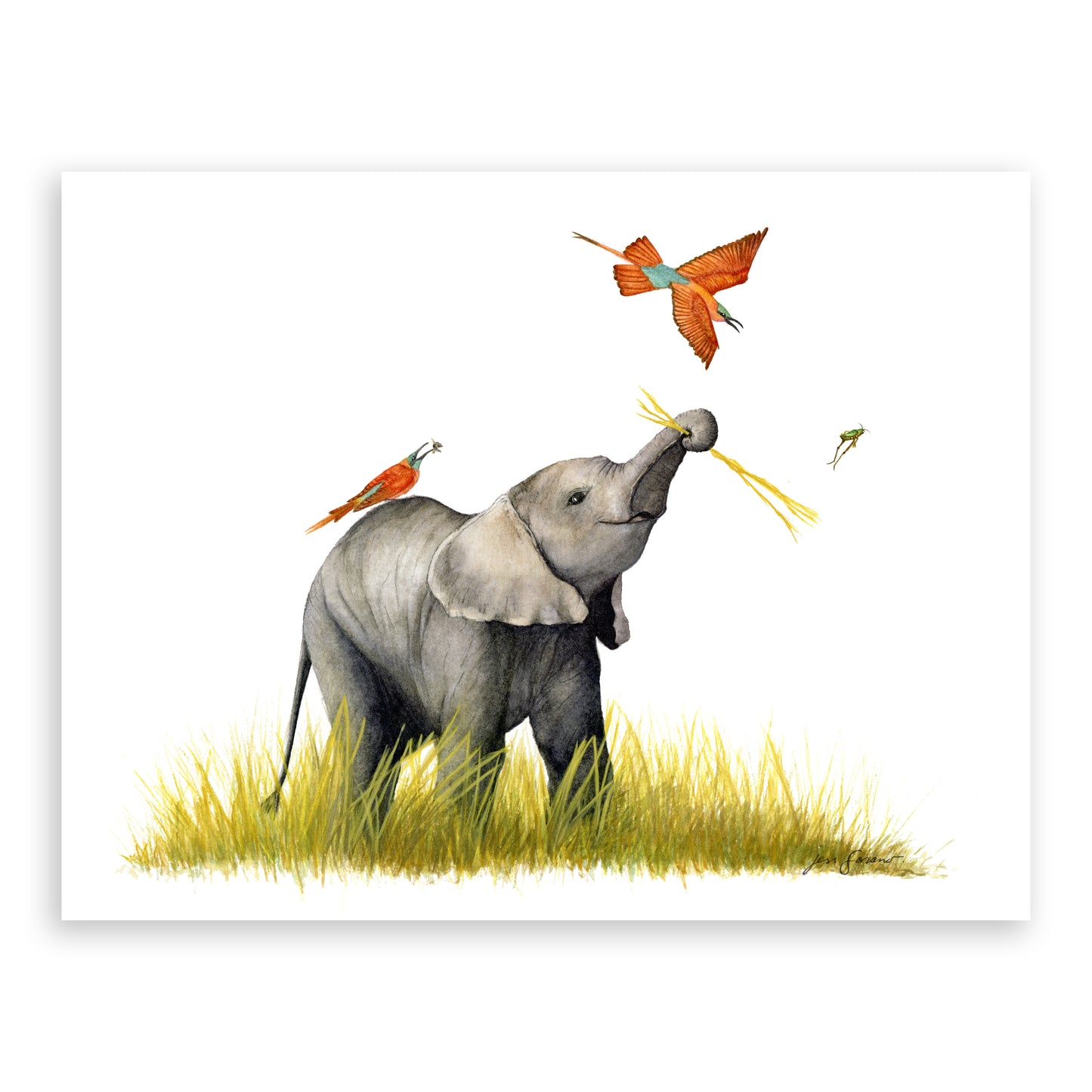 Opportunistic Behaviors: Elephants & Birds Giclée Print