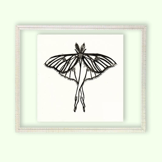 Framed Luna Moth Linocut Print