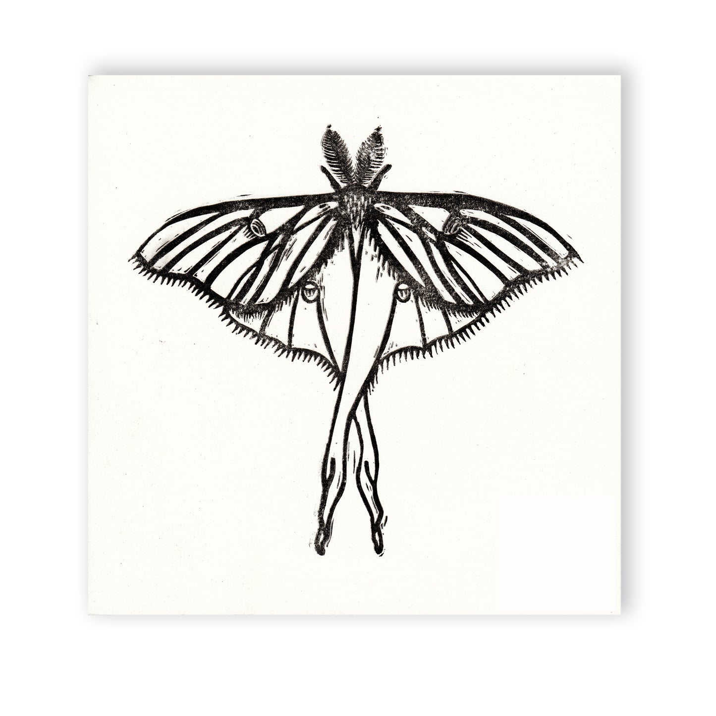 Luna Moth Linocut Relief Print