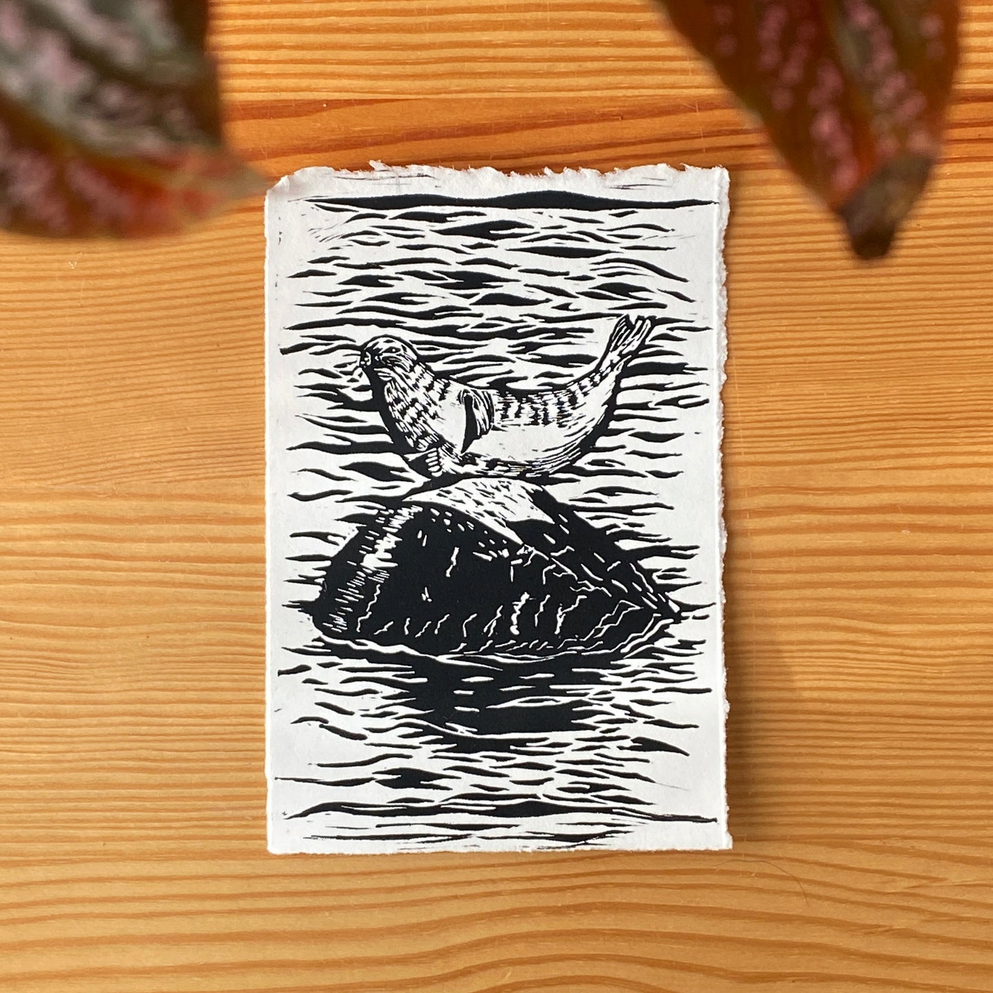 Harbor Seal Linocut Relief Print