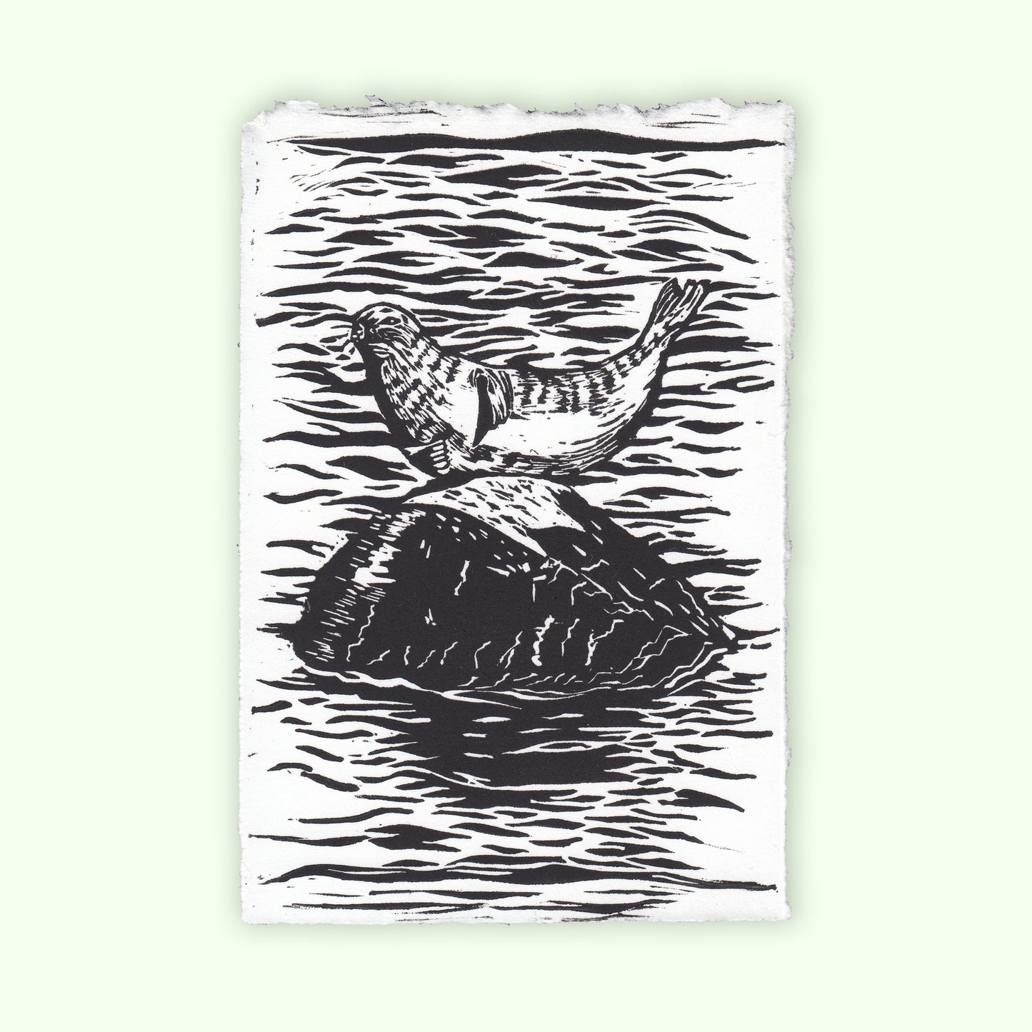 Harbor Seal Linocut Relief Print