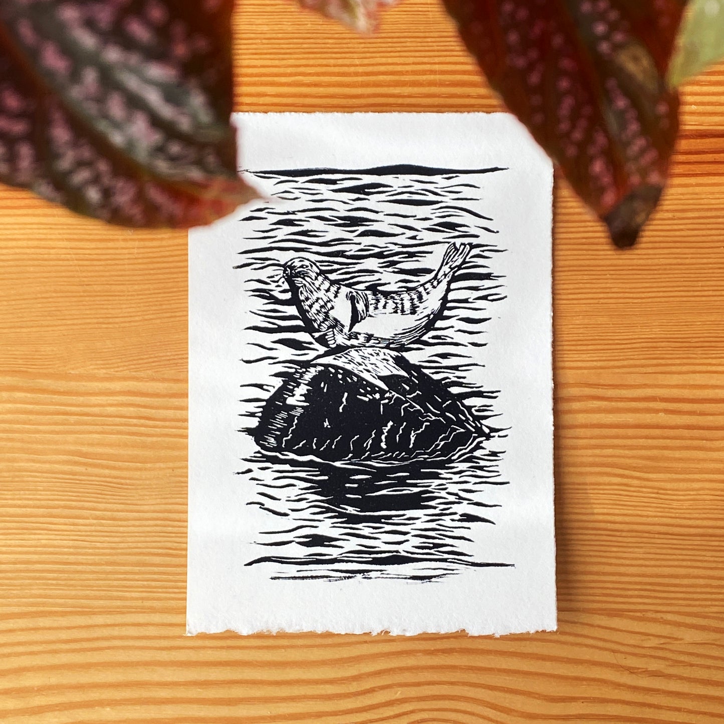 Harbor Seal Linocut Relief Print