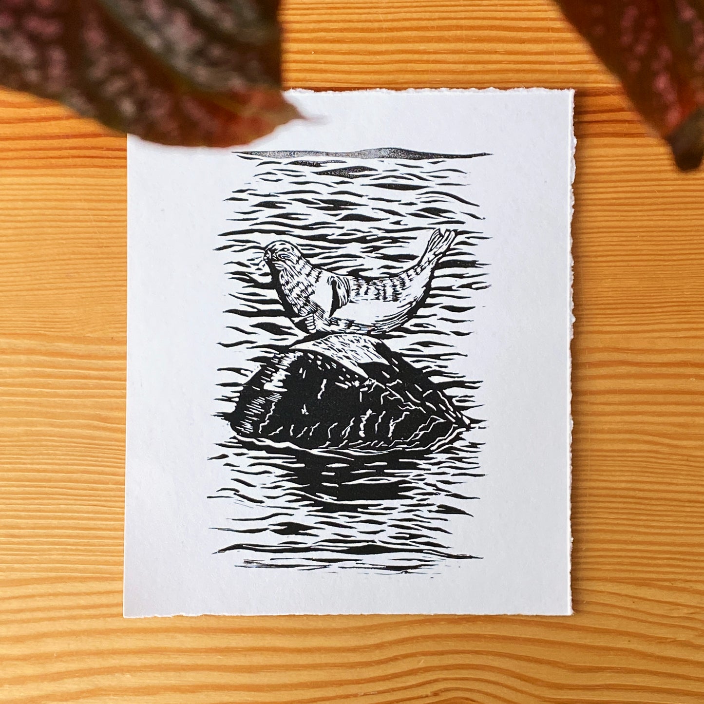 Harbor Seal Linocut Relief Print