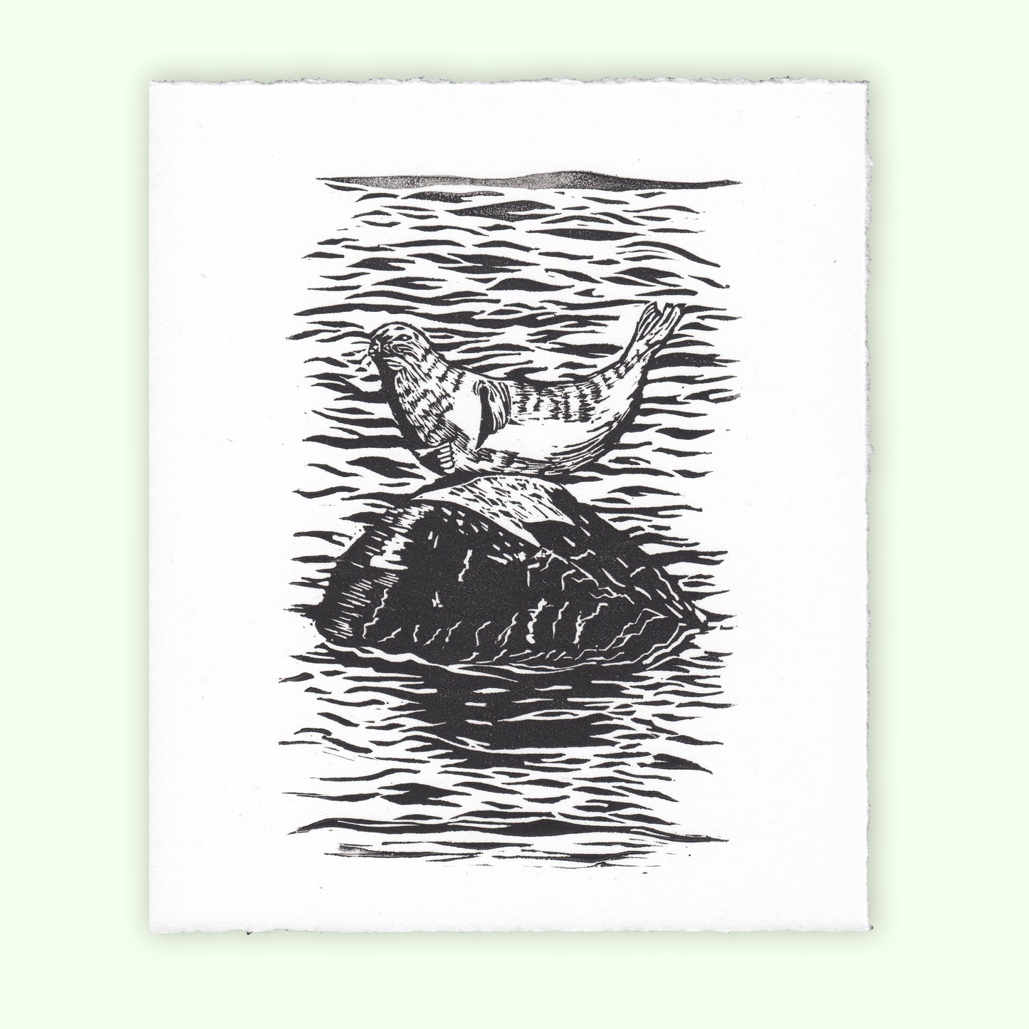 Harbor Seal Linocut Relief Print
