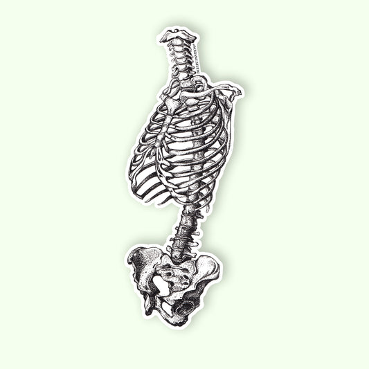 Skeletal Spine Sticker