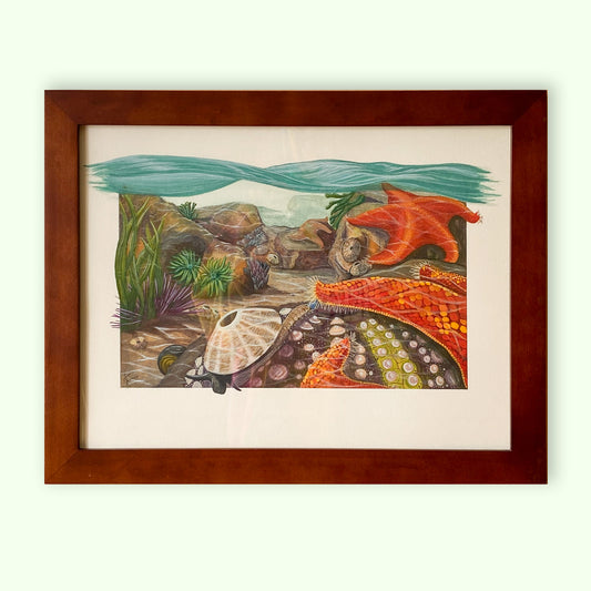 Tidepool Relationships: Original Framed Watercolor Piece