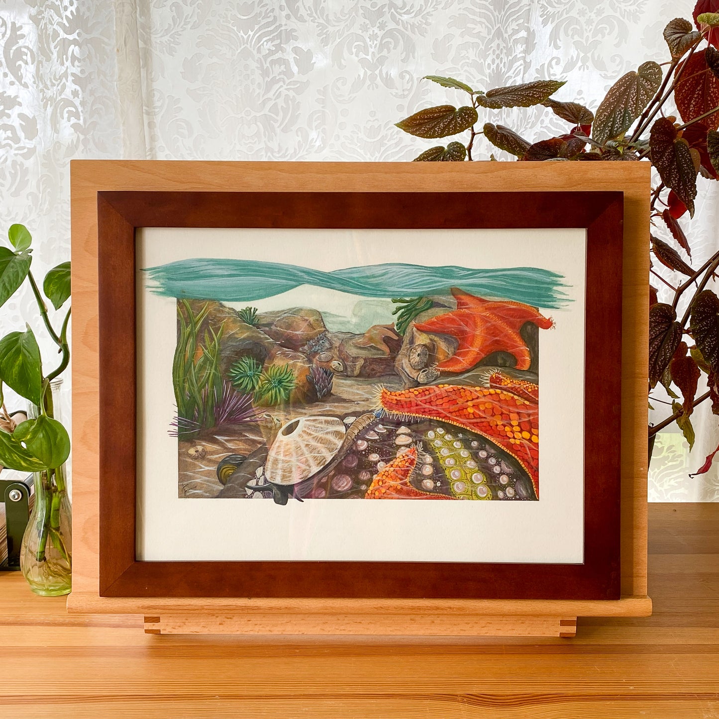 Tidepool Relationships: Original Framed Watercolor Piece