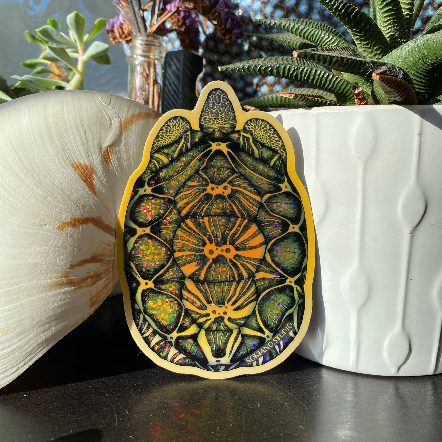 Radiated Tortoise Sticker