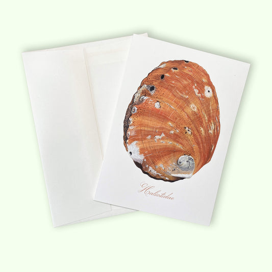 Abalone - Greeting Card