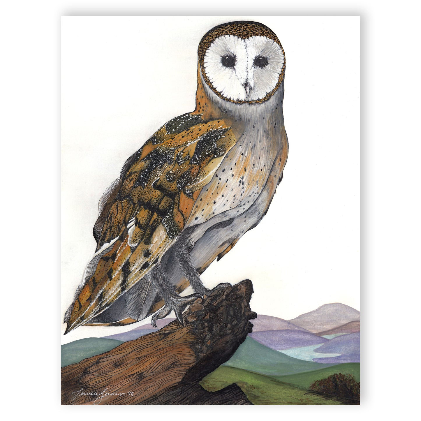 Barn Owl Giclée Print