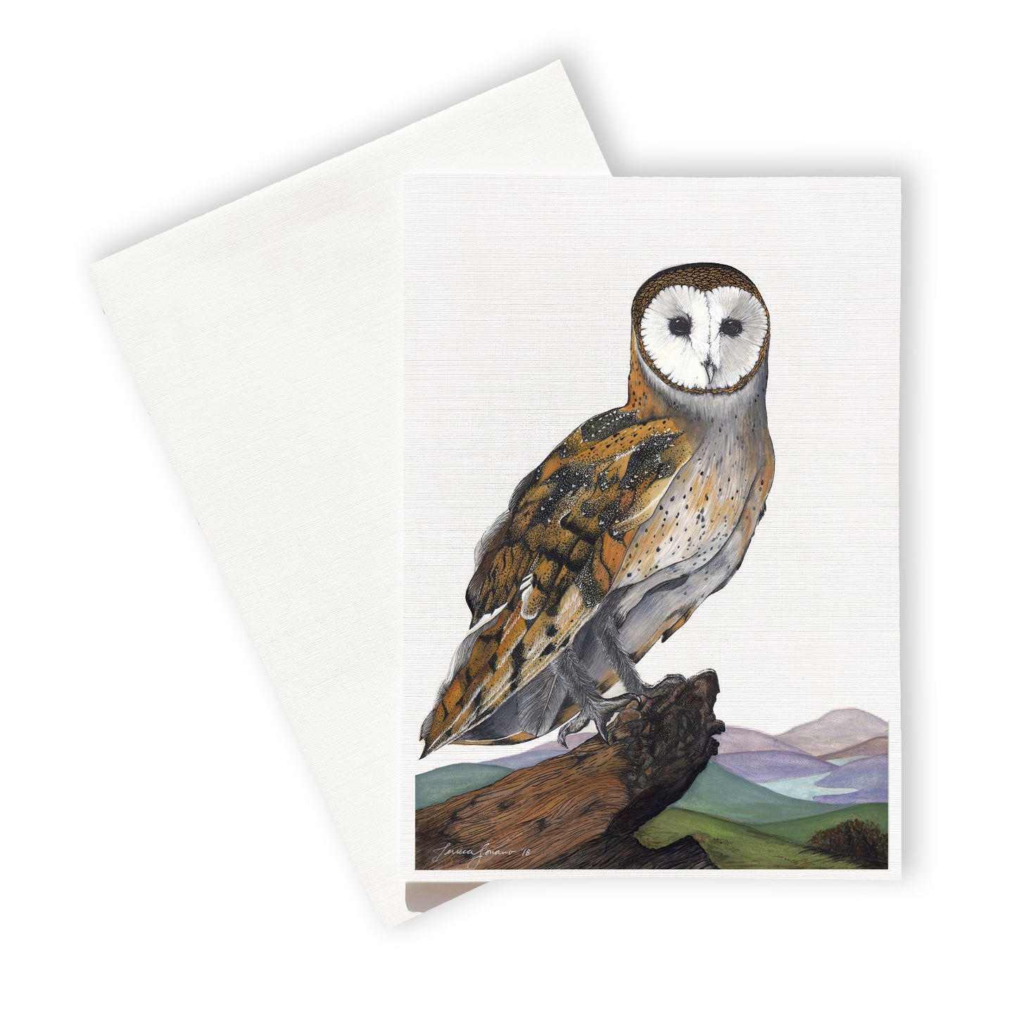 Barn Owl - Greeting Card