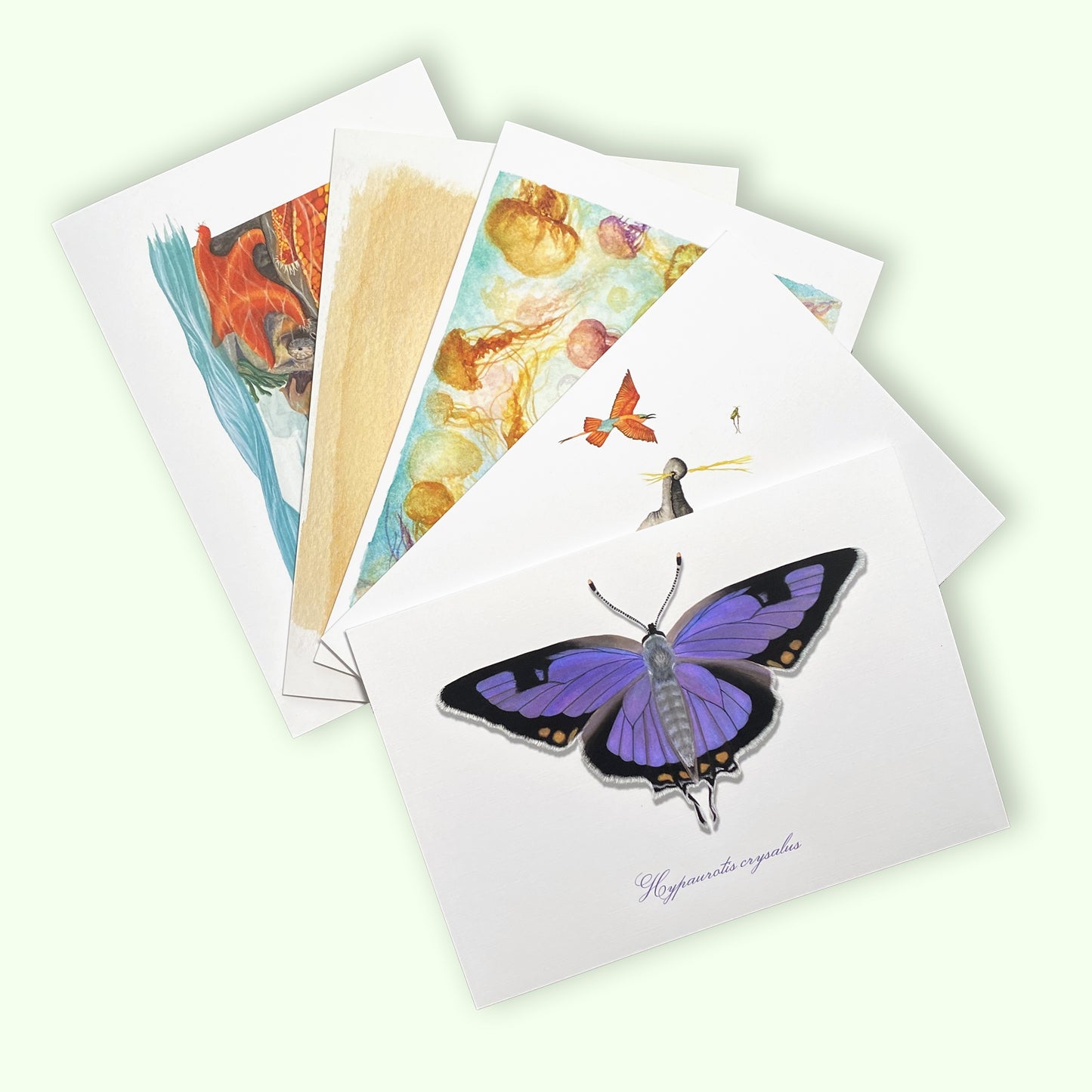 Greeting Card Collection