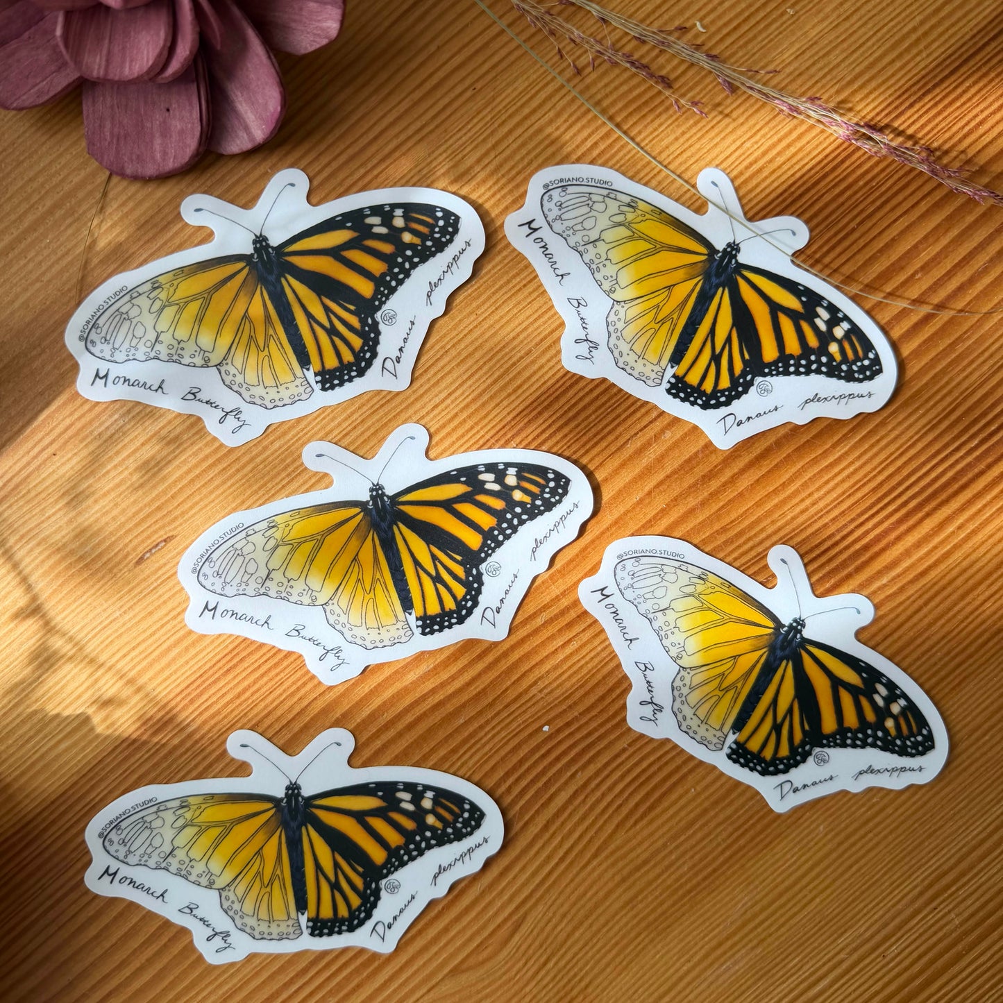 Monarch Butterfly Sticker