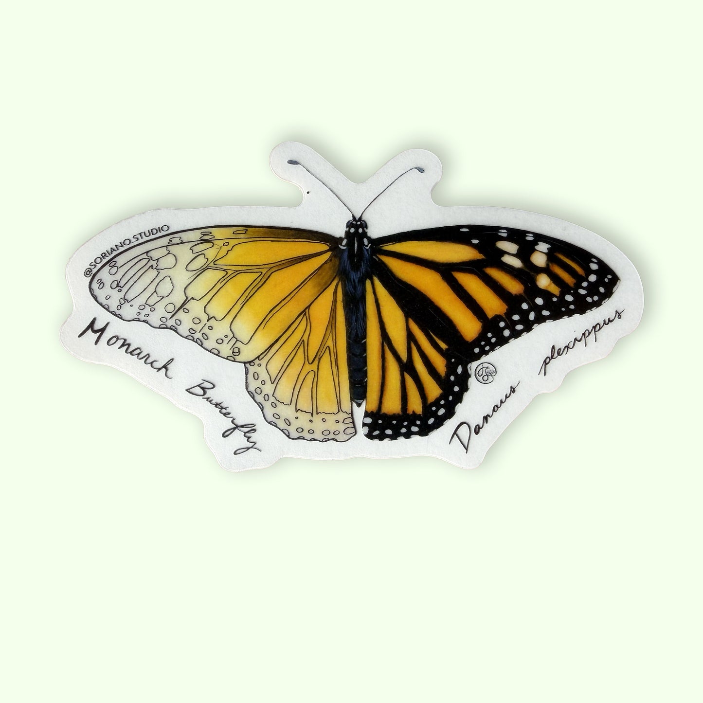 Monarch Butterfly Sticker