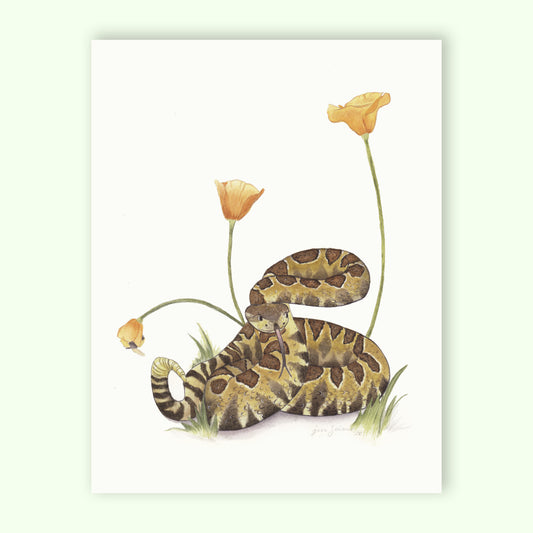 Northern Pacific Rattlesnake Watercolor Giclée Print