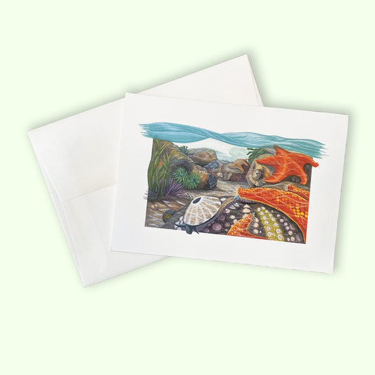 Tidepool Symbiosis - Greeting Card