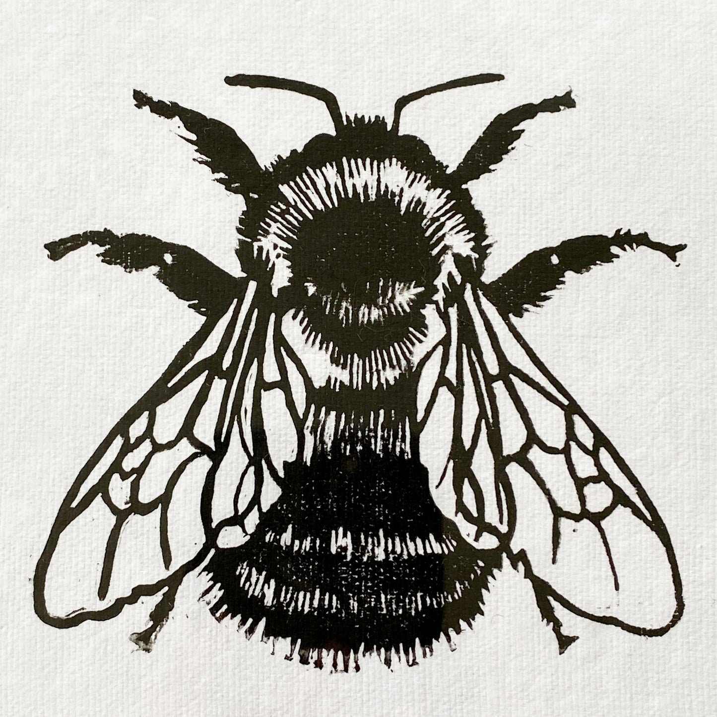 Framed Bumble Bee Linocut Relief Print