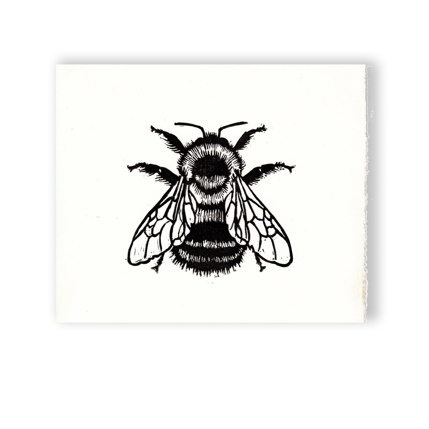 Bumble Bee Linocut Relief Print