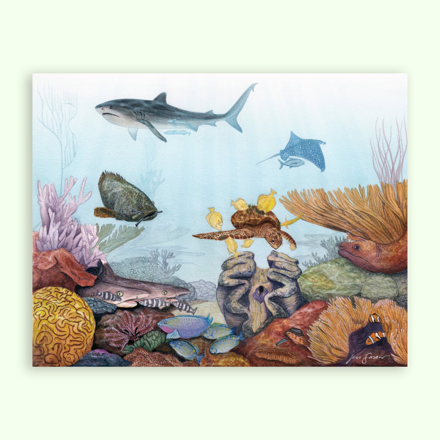 Great Barrier Reef Symbiosis Giclée Print