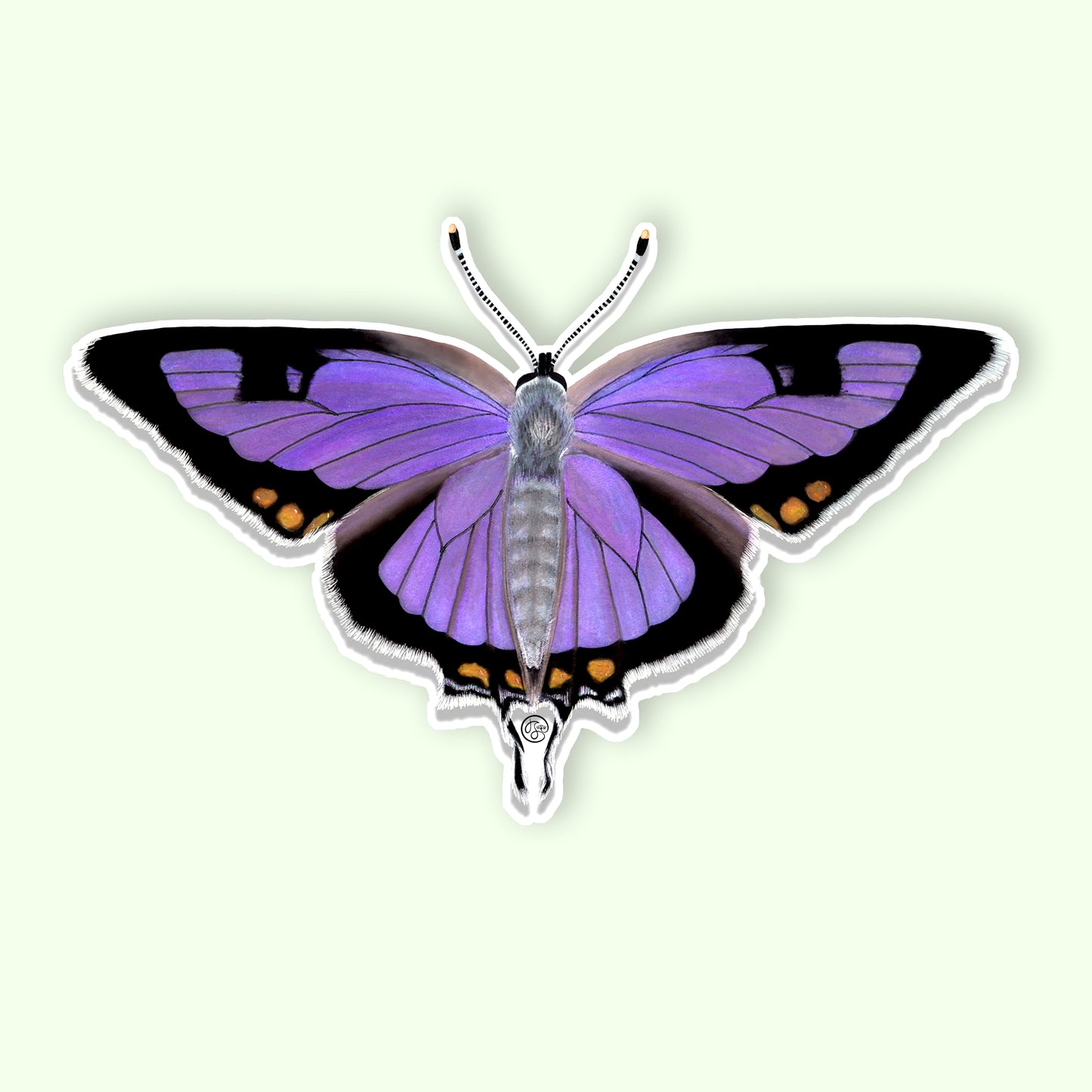 Hairstreak Butterfly Sticker