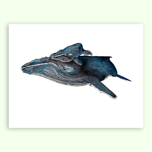Family First: Humpback Whale and Calf Giclée Print
