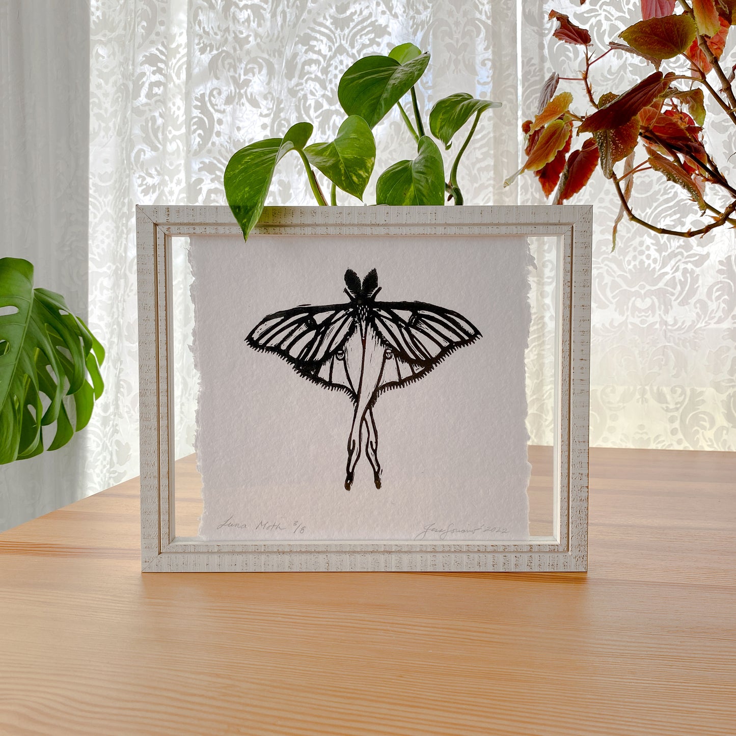 Framed Luna Moth Linocut Print