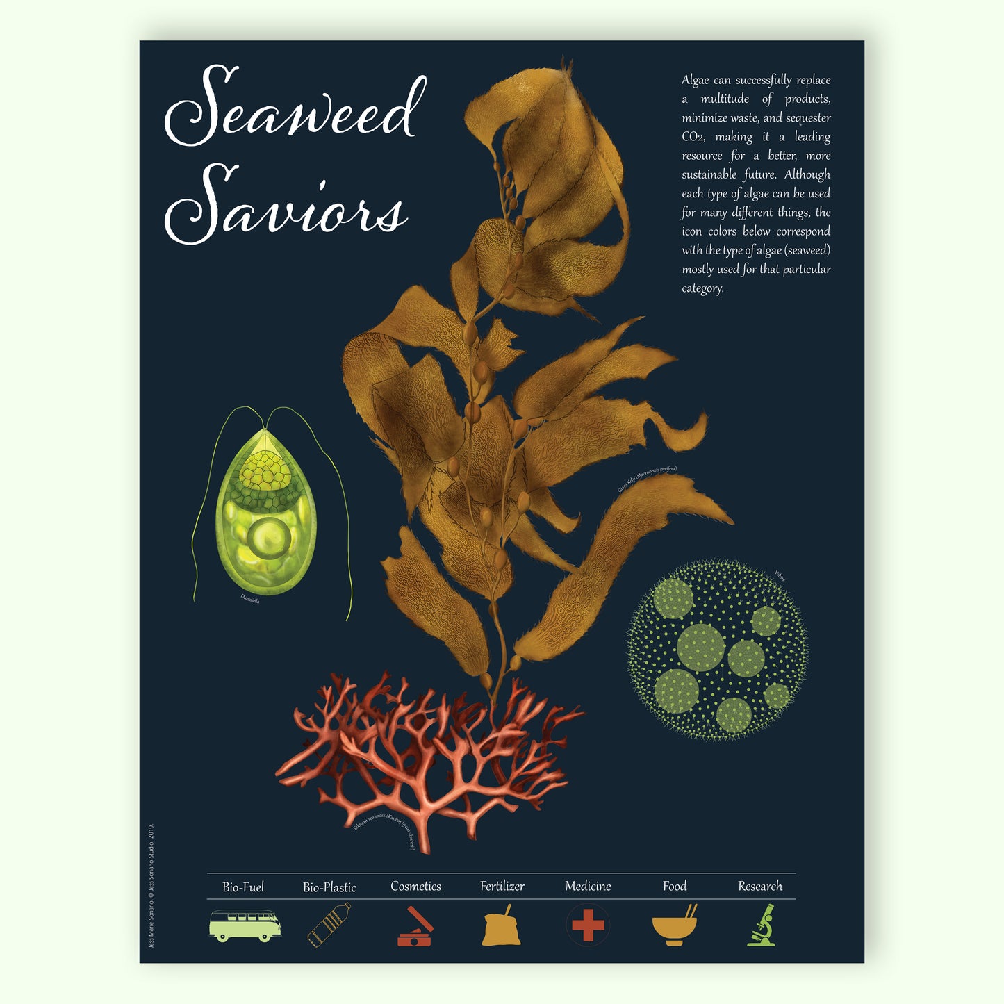 Seaweed Saviors Poster